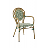 Chaise En Technorotin RICCARDO ARM vert et blanc