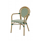 Chaise En Technorotin RICCARDO ARM vert et blanc