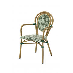 Chaise En Technorotin RICCARDO ARM vert et blanc