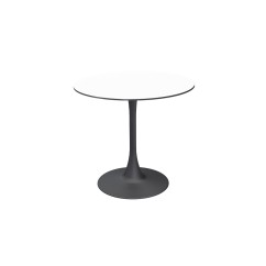 Table pour jardin à bière Arioso avec plateau HPL
