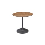 Table pour jardin à bière Arioso avec plateau HPL