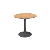 Table pour jardin à bière Arioso avec plateau HPL
